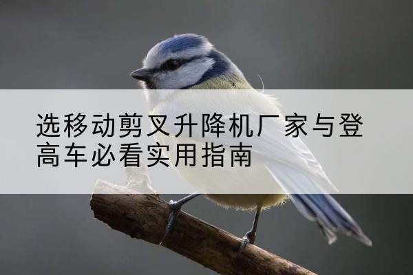 烟台电动升降机厂家-选移动剪叉升降机厂家与登高车必看实用指南