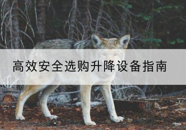 烟台升降货梯厂家推荐-*安全选购升降设备指南