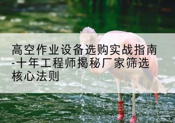 烟台剪叉式升降机厂家-高空作业设备选购实战指南-十年工程师揭秘厂家筛选核心法则